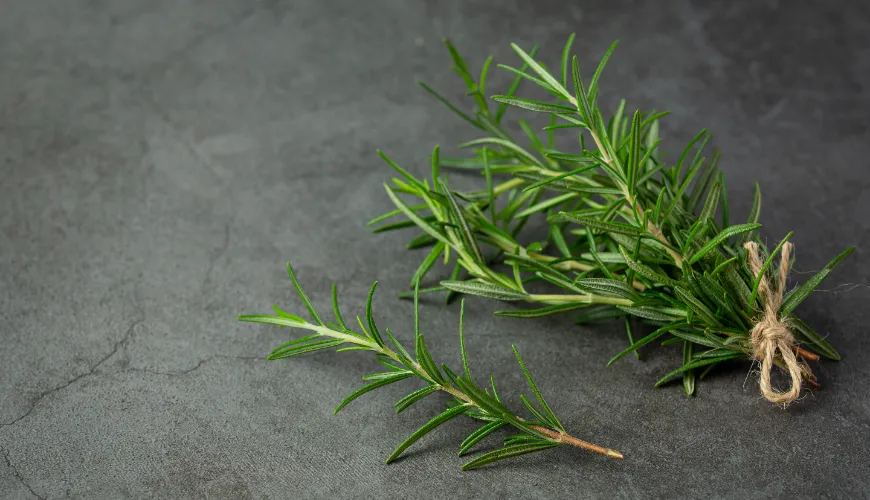 How to Use Rosemary Water for Skin Health and Beauty