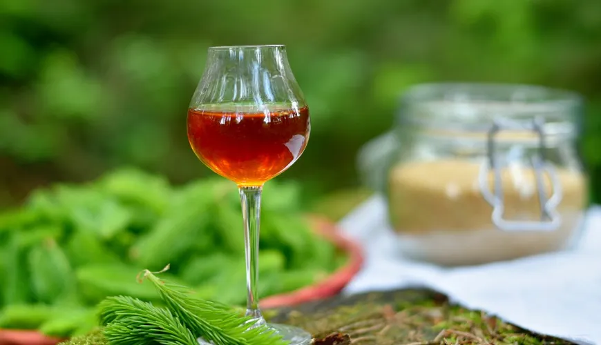 Pine Needle Syrup - Discover the Power of the Forest for Your Health