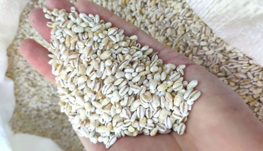 Learn to cook grains easily step by step