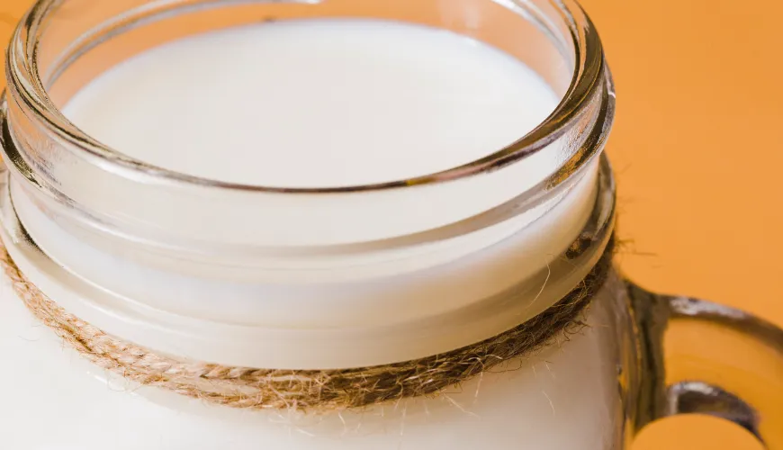 Discover the Secrets of Camel Milk Along with Its Benefits