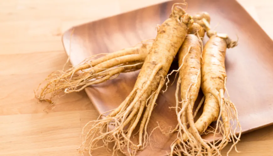 Which ginseng will boost your energy and improve your performance?